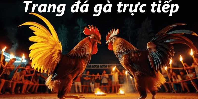 da-ga-truc-tiep-3 đá gà trực tiếp